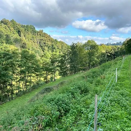 A La Ferme Alpehytte Arrodets-ez-Angles