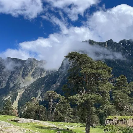 Alpehytte A La Ferme *