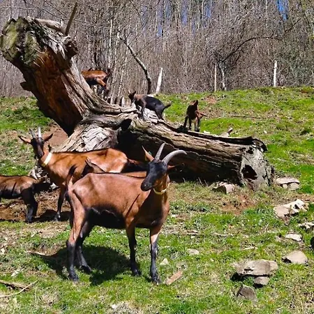 A La Ferme