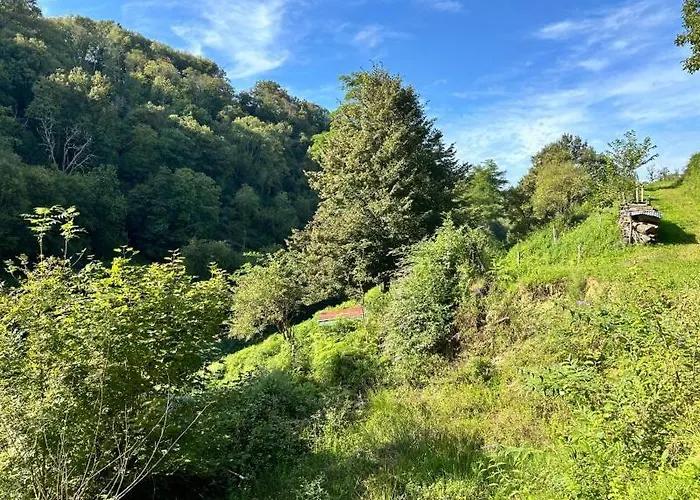 Alpesi faház A La Ferme *