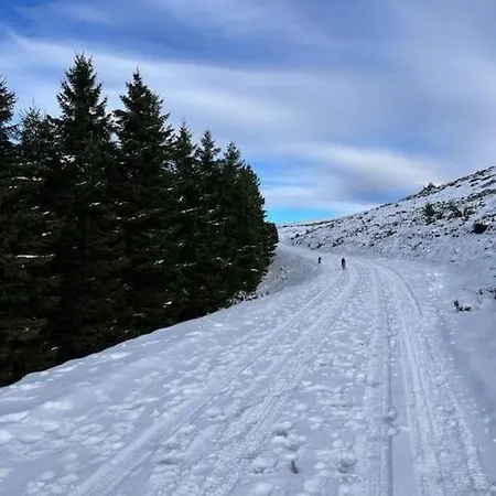 A La Ferme Chalet Arrodets-ez-Angles