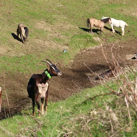 A La Ferme * Arrodets-ez-Angles