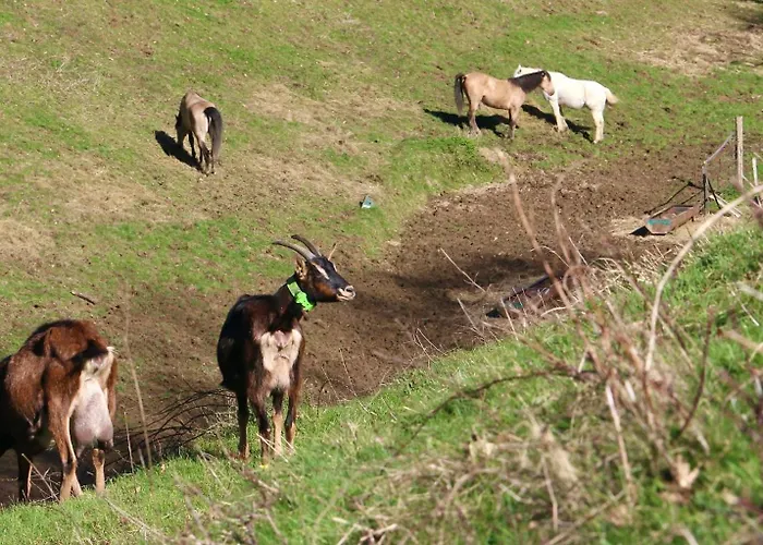 A La Ferme * Arrodets-ez-Angles